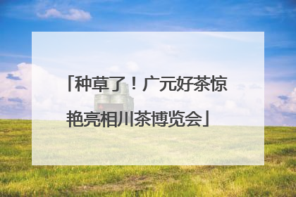 种草了！广元好茶惊艳亮相川茶博览会